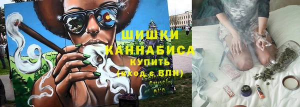 крисы Бронницы