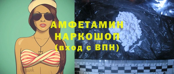 крисы Бронницы