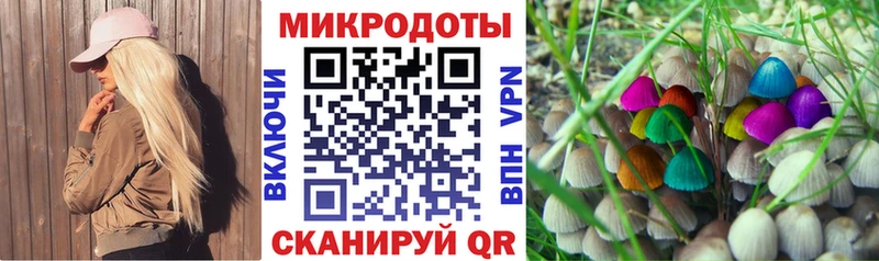 Псилоцибиновые грибы прущие грибы  Невель 
